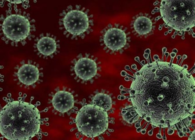 Dünyada qorxulu virus yayılır -  ÖLƏNLƏR VAR