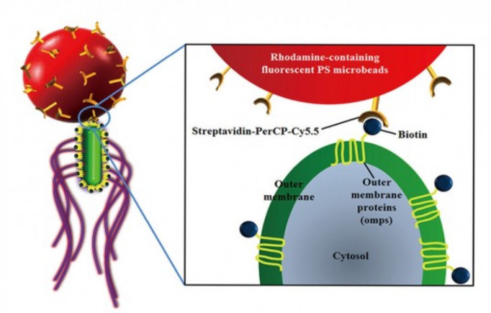 Nanorobotlar xərçəngi müalicə edəcəklər 