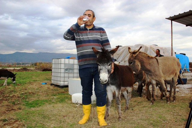 3 ay eşşək südü içib, sağaldı  - Özünə biznes qurdu/FOTO