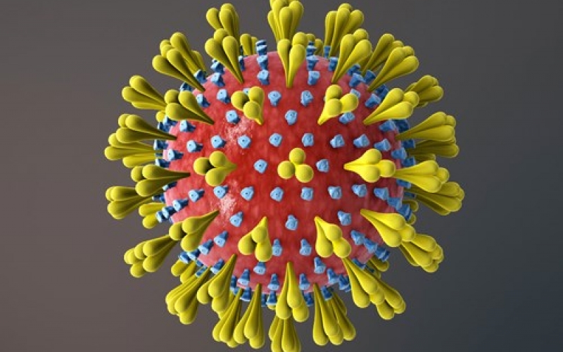 Koronavirus əleyhinə maddə tapıldı  