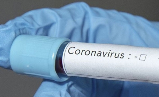 Ermənistanda daha iki nəfərdə koronavirus aşkarlandı  