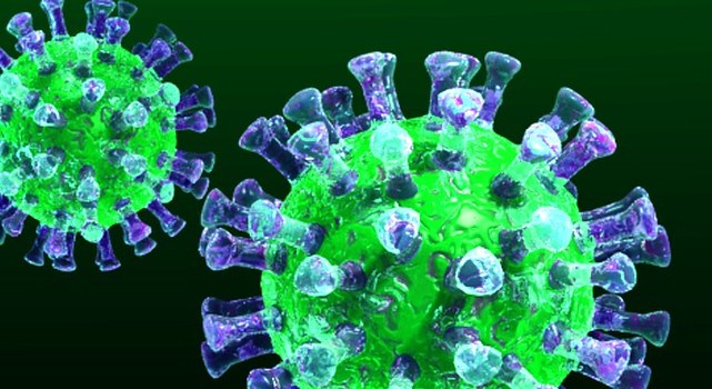 Koronavirus 20 dərəcədə 25 il qala bilər  - ALİMLƏR