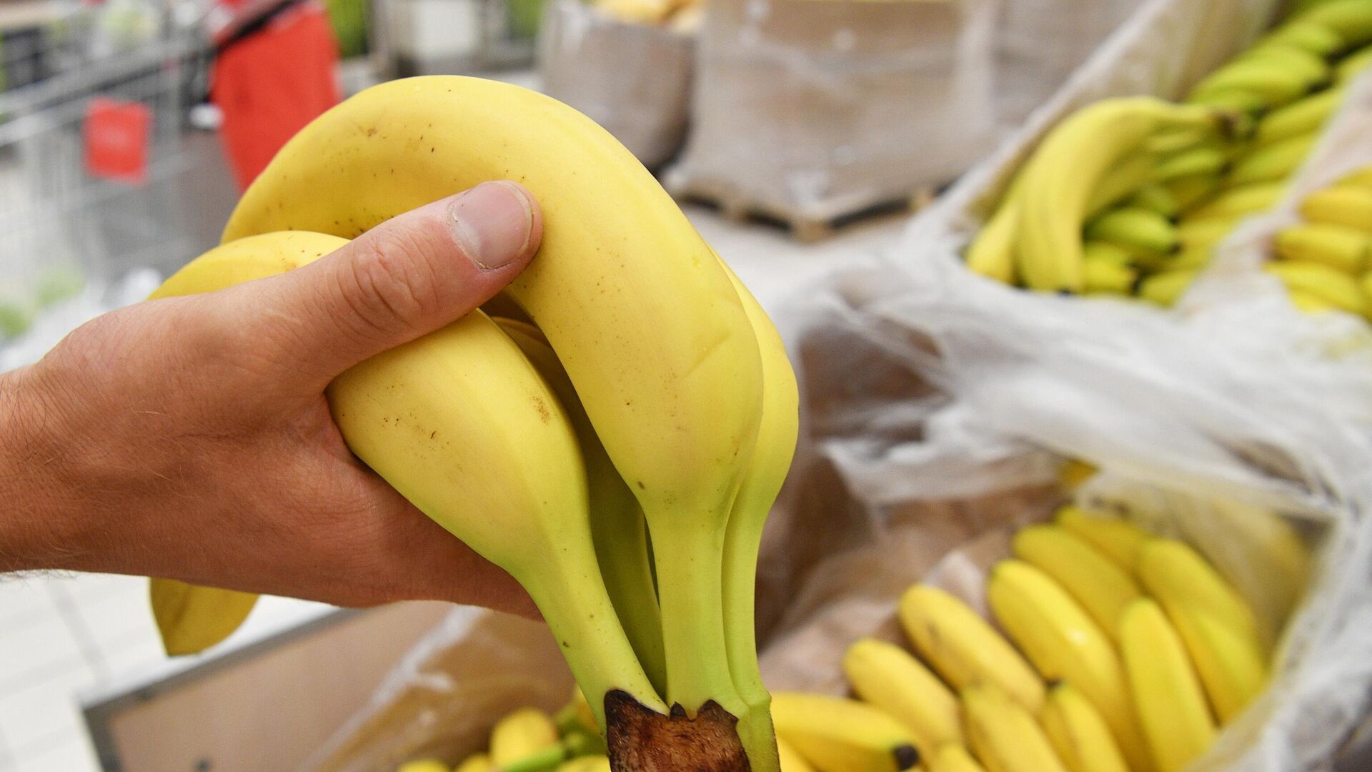 Bananları saraltmaq üçün xərçəng yaradan maddə vururlar  -   ARAŞDIRMA