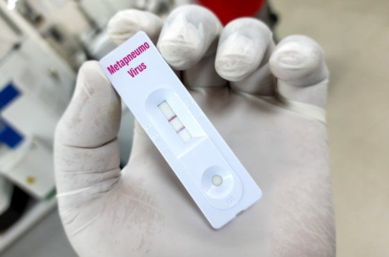 Metapnevmovirus  Qırğızıstanda  