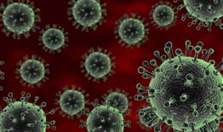 Dünyada qorxulu virus yayılır -  ÖLƏNLƏR VAR