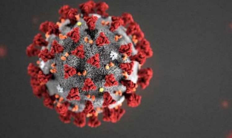 Virus əşyalar üzərində nə qədər müddət yaşayır? –  Virusoloqlar araşdırdı