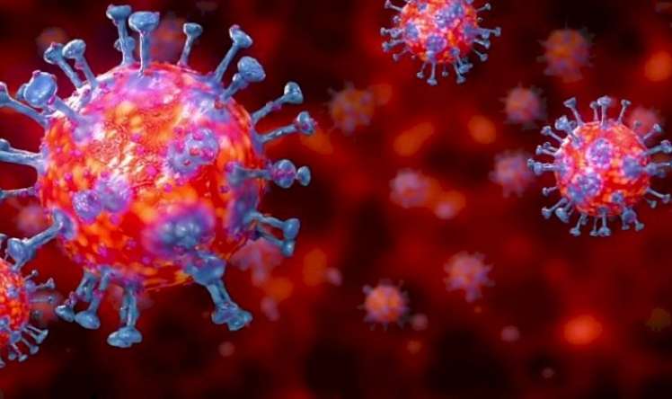  Koronavirus infeksiyalarını bloklayan süni virus yaradıldı 