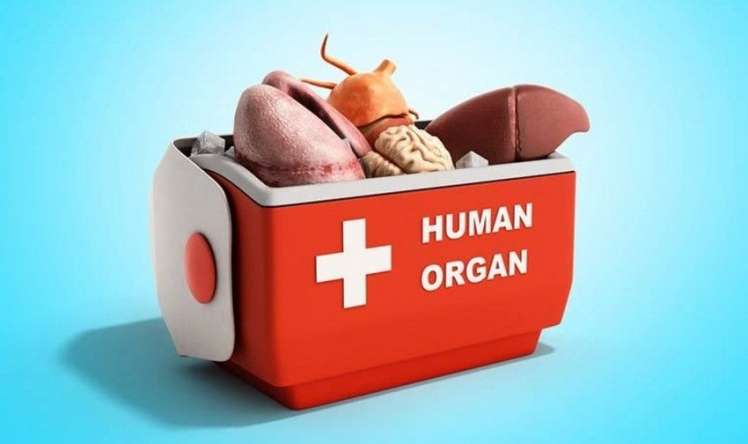 Orqan transplantasiyası ilə bağlı etika komissiyası  - Yaradıldı